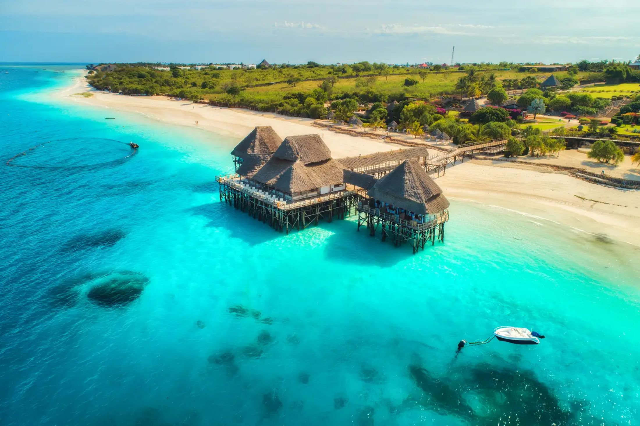 Bush & Beach Safaris