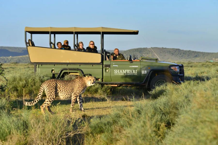 Shamwari Sindile