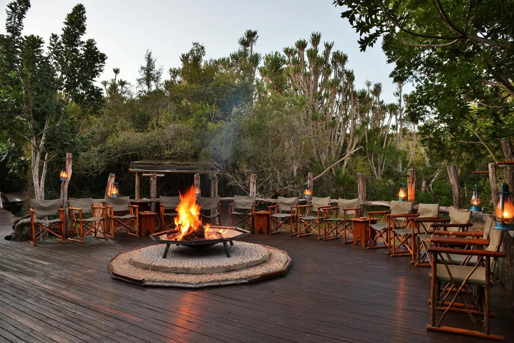 Sibuya Forest Camp