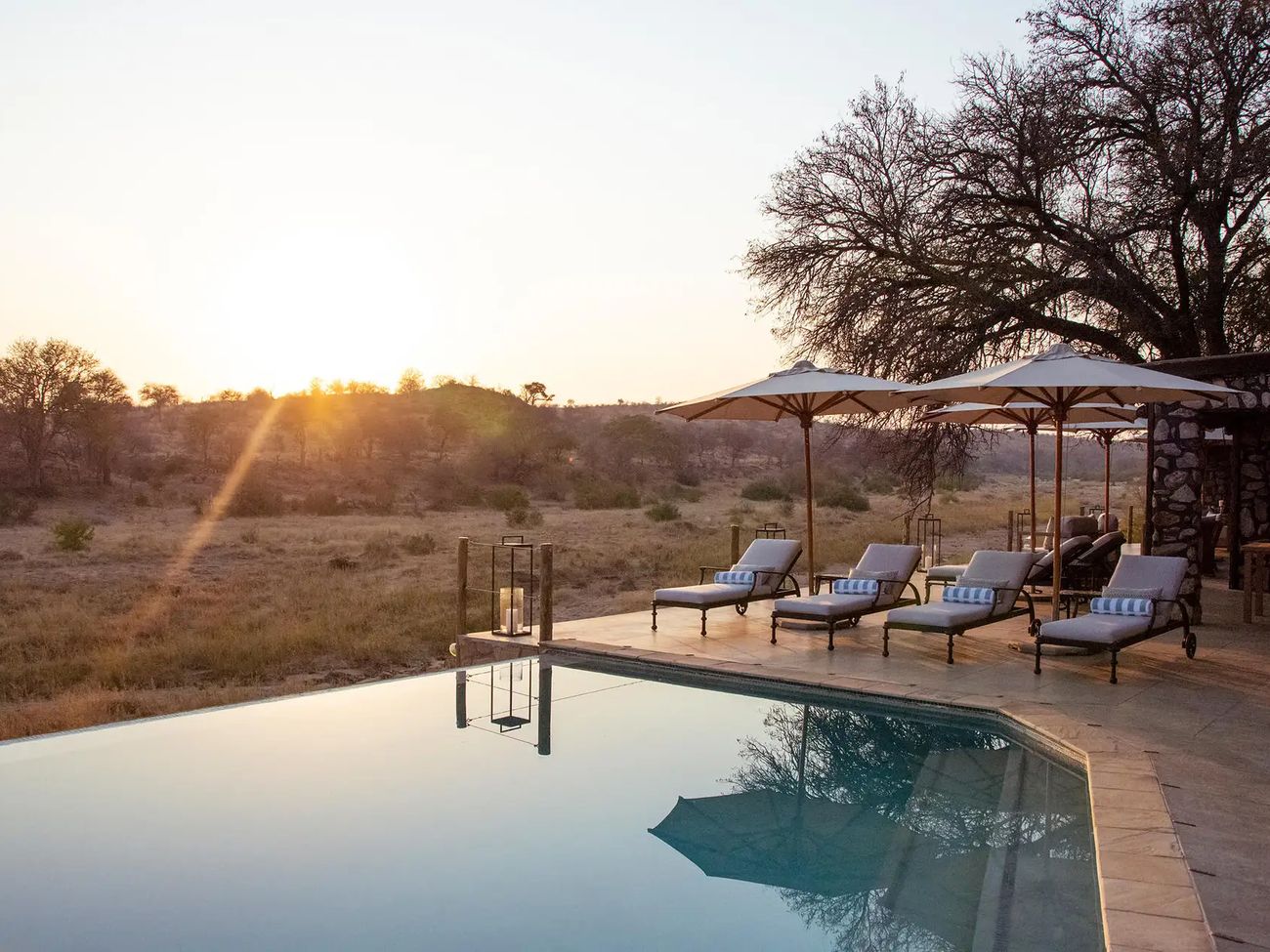7-Day Kruger and Cape Winelands Safari