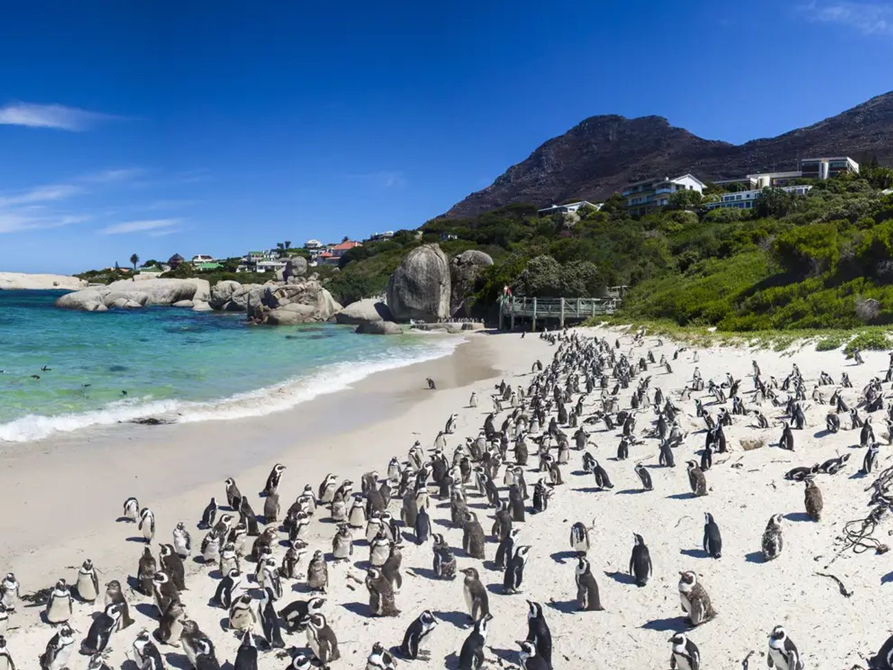 12 Day Garden Route, Cape Town & Eastern Cape Safari