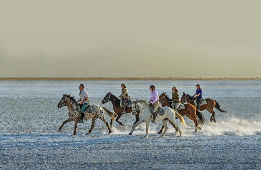 8-Day Fly-In Ultra-Lux Botswana Safari