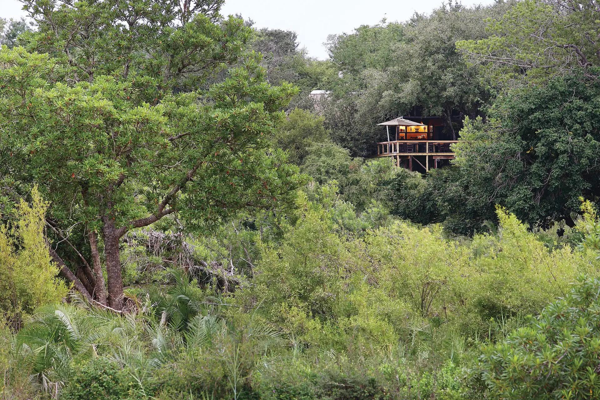 4-Day Fly-In Londolozi Tree Camp Safari