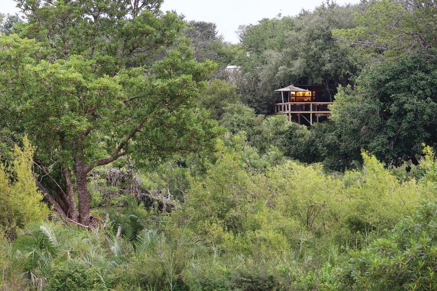4-Day Fly-In Londolozi Tree Camp Safari