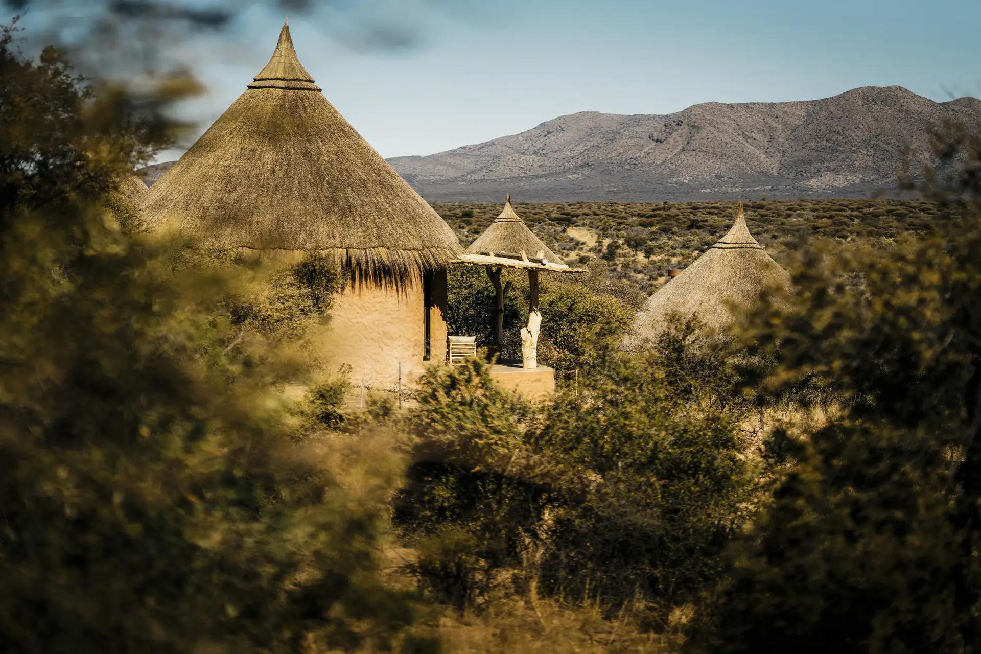 4-Day Zannier Omaanda Safari