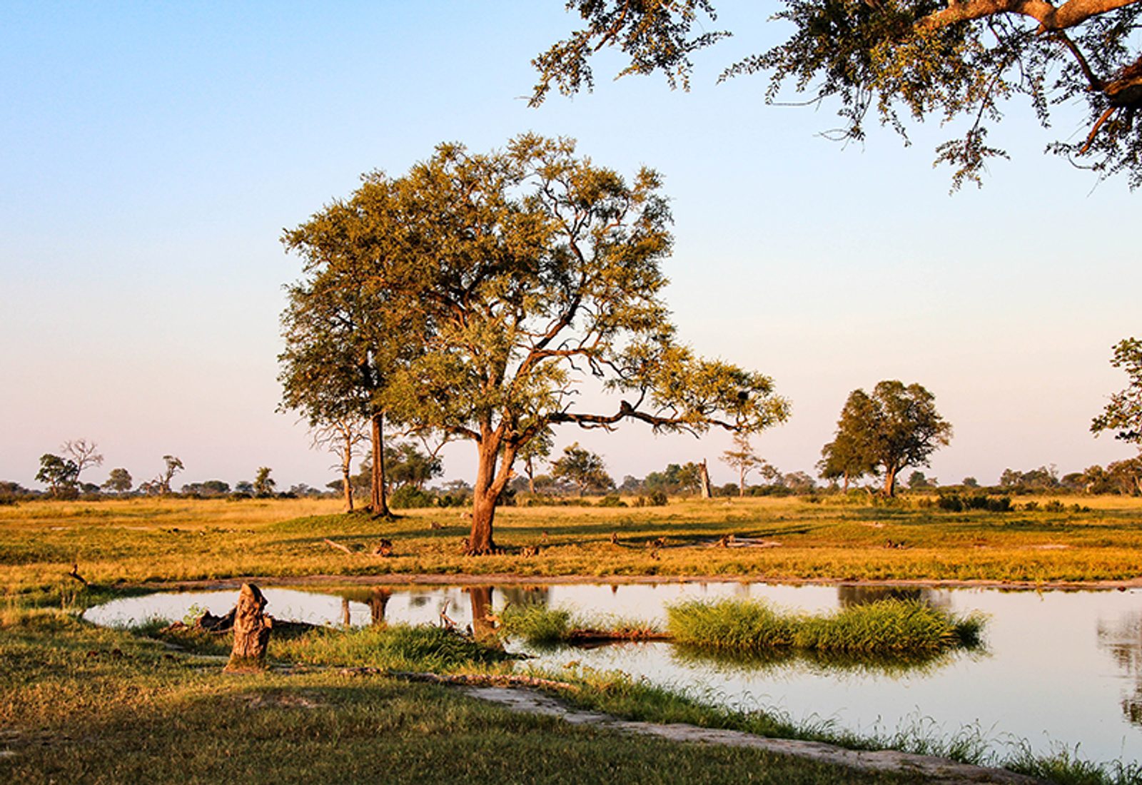 Hidden gems of Zimbabwe - Hwange National Park
