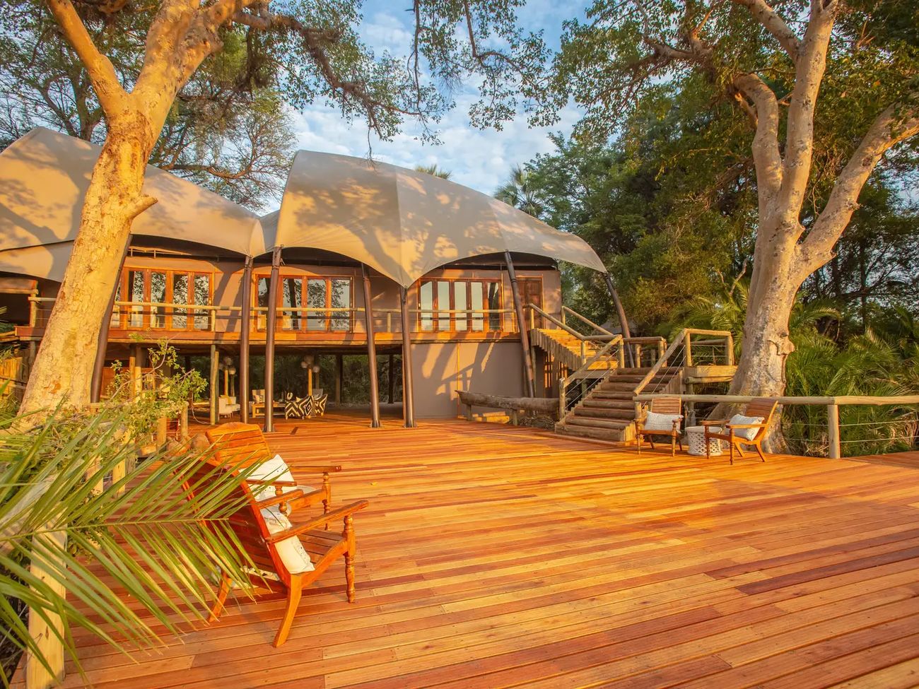 Jacana Camp