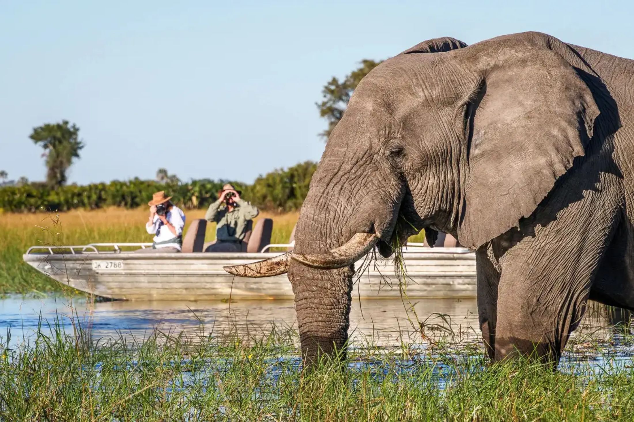 Top 10 Okavango Delta Lodges 2025