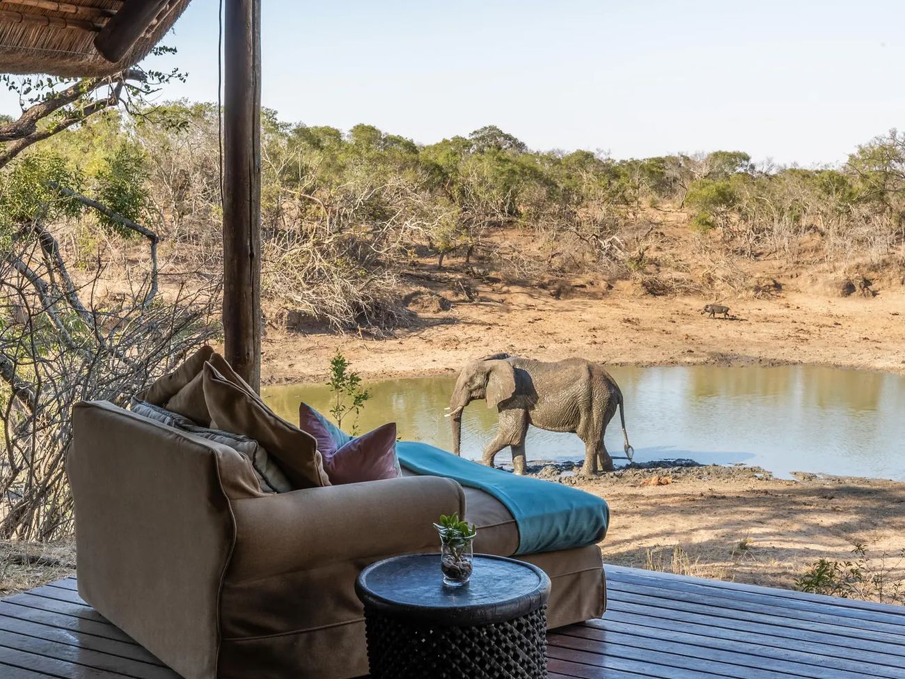 Waterbuck Lodge
