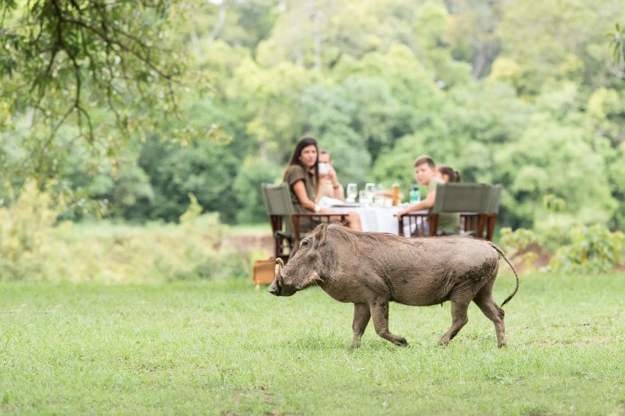 7-Day All-Inclusive Masai Mara to Zanzibar Safari