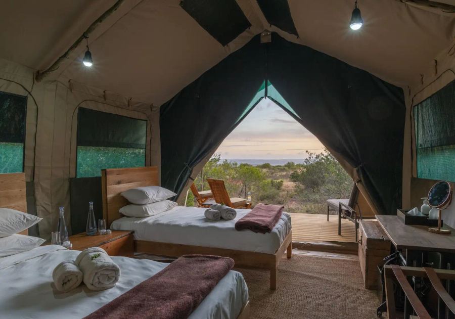 Shamwari Explorer Camp