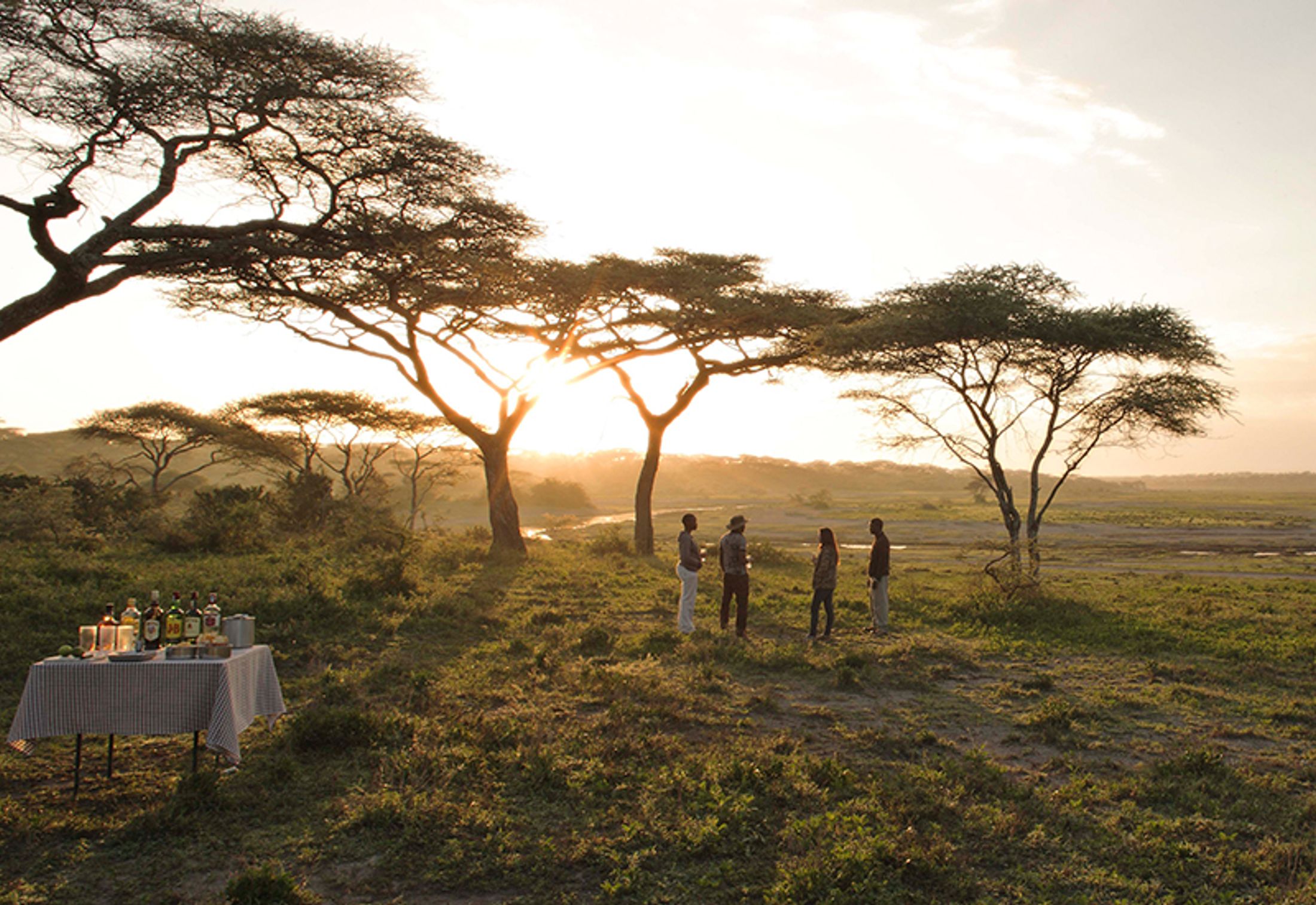 Top 10 Great Migration Lodges