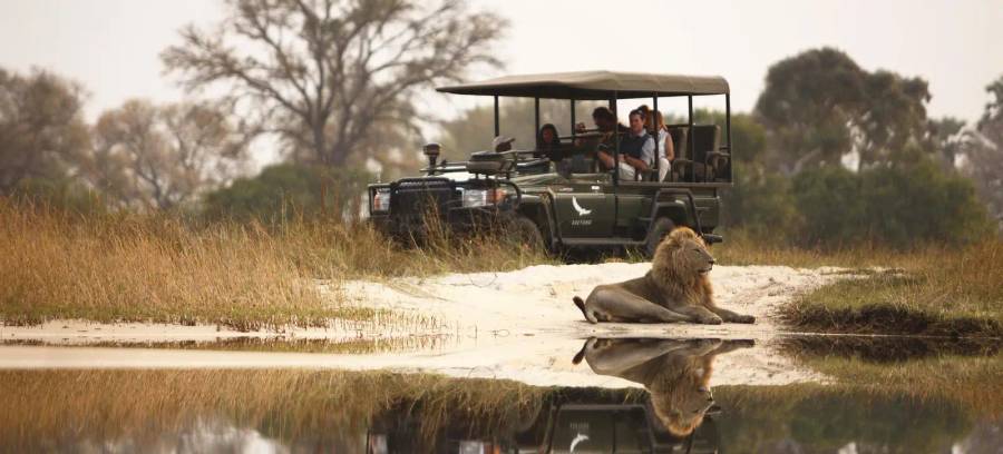 Okavango Delta