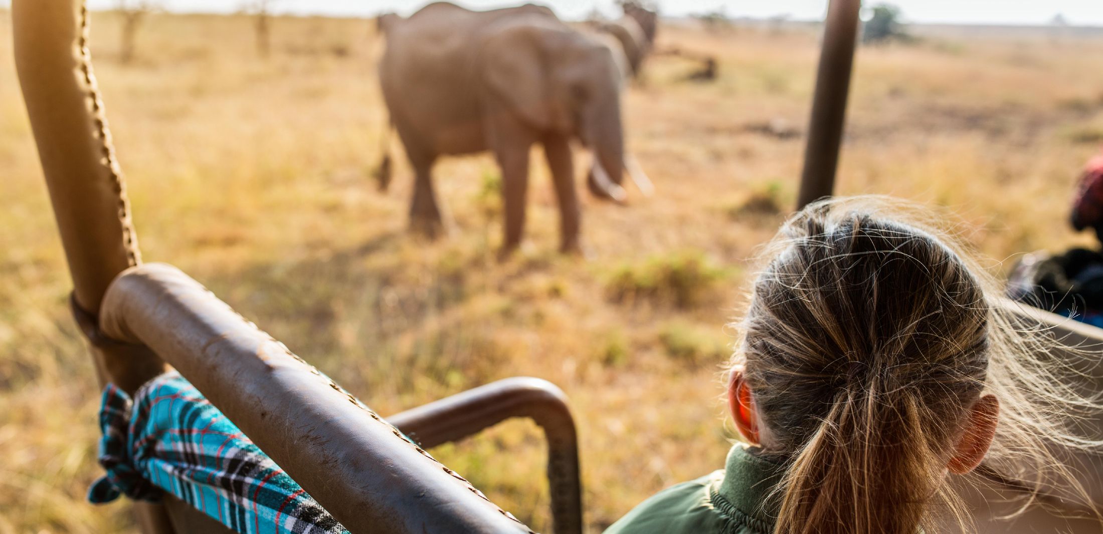 Should You Bring Your Kids On Safari?