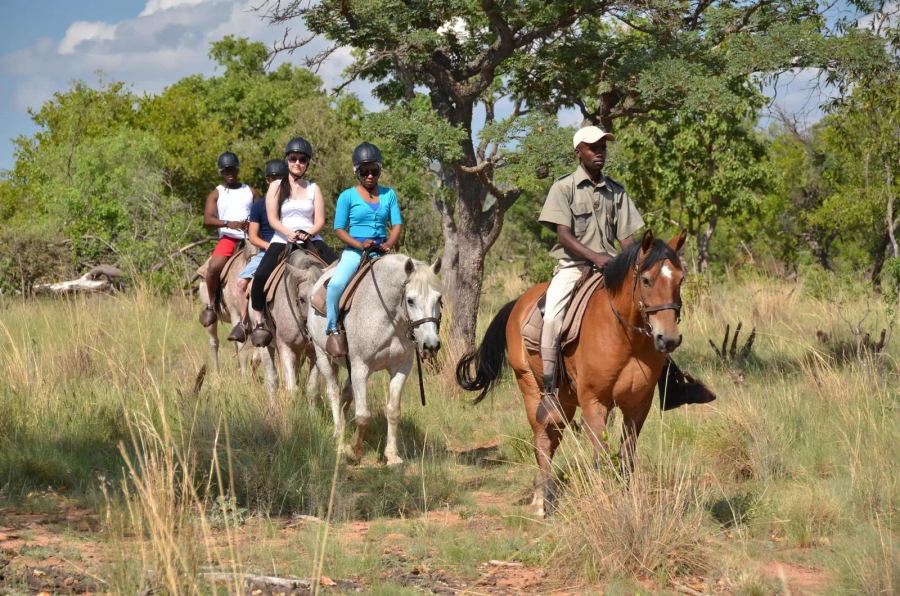 3-Day BIG 5 Mabula Game Reserve 2hr Self-Drive Safari