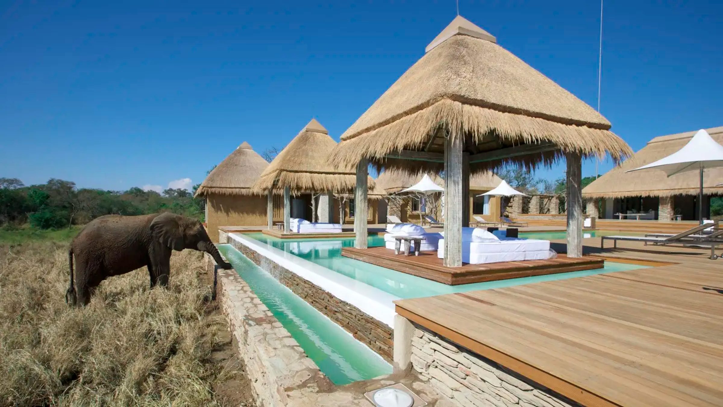 Kapama River Lodge