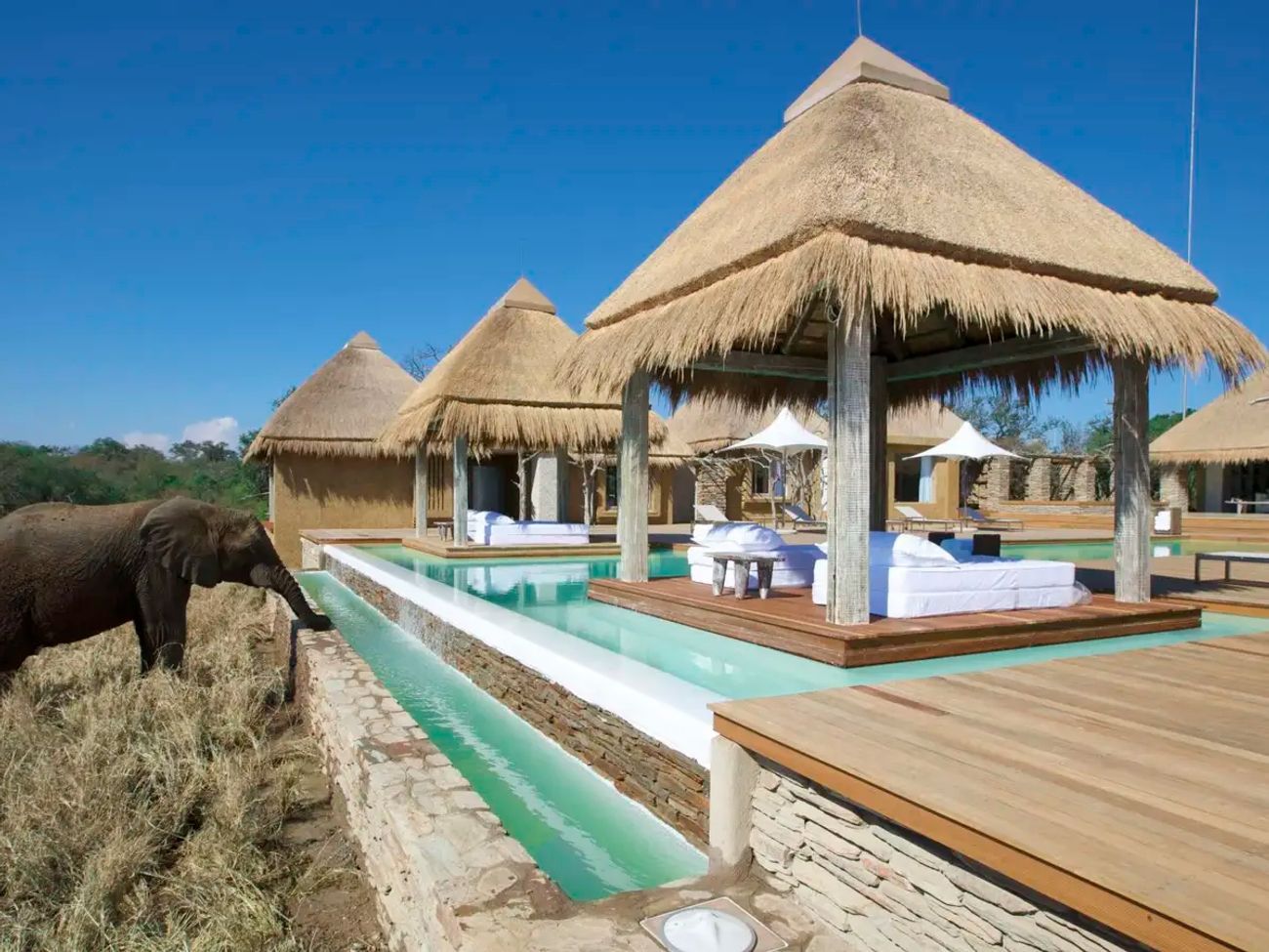 Kapama River Lodge