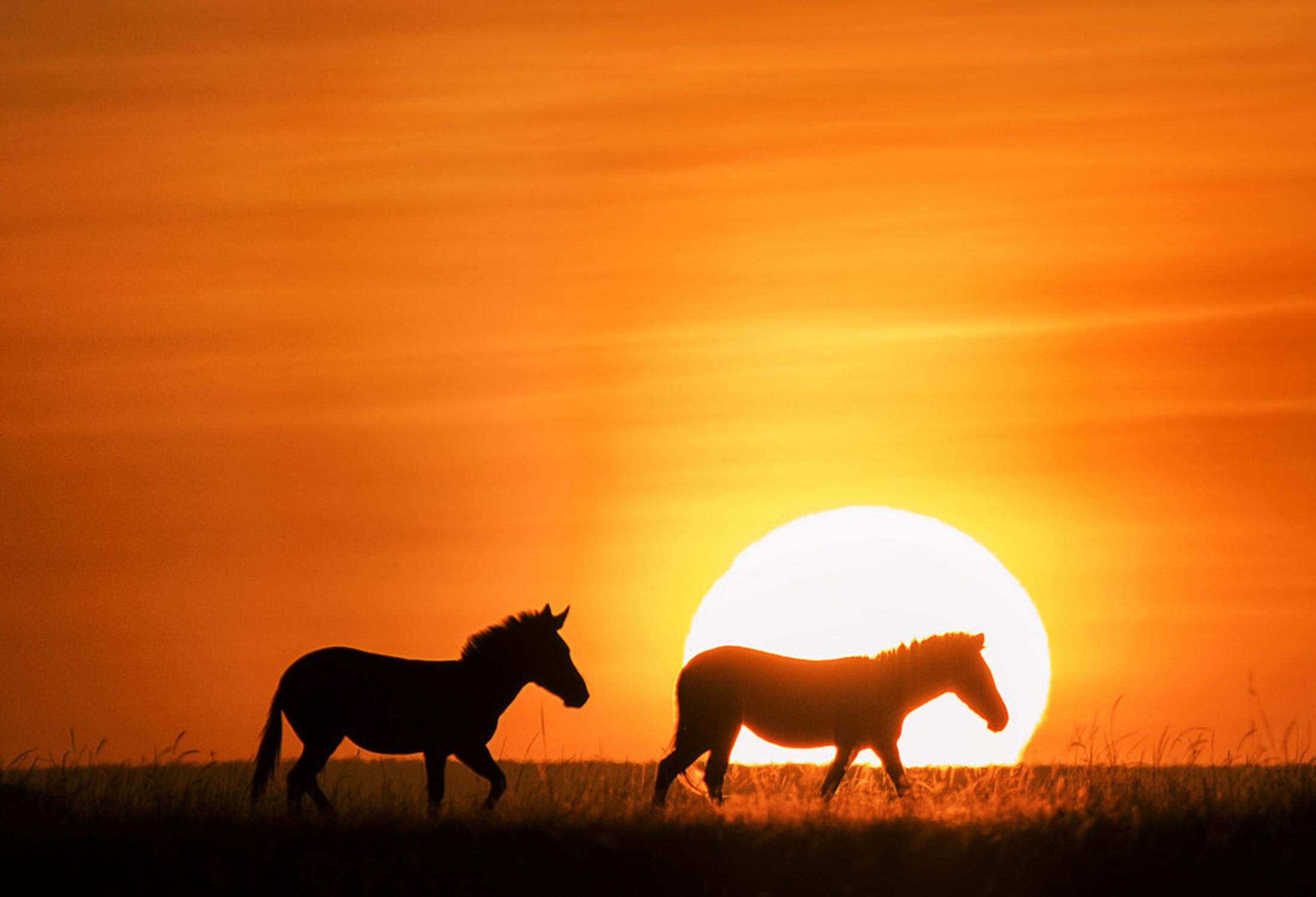 Is it Safe to Travel to Kenya