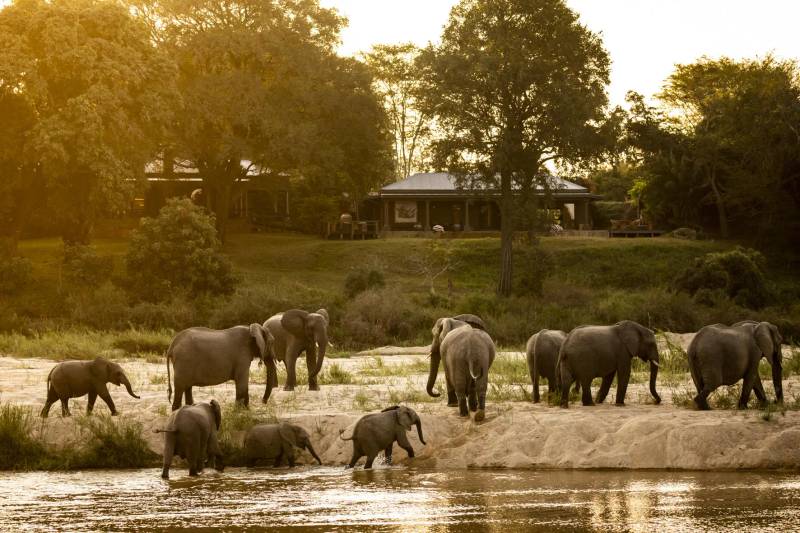 MalaMala Game Reserve: Legendary South African Safaris