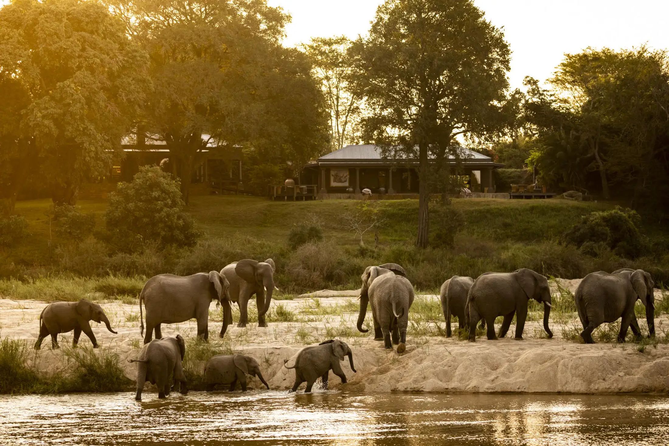 MalaMala Game Reserve: Legendary South African Safaris