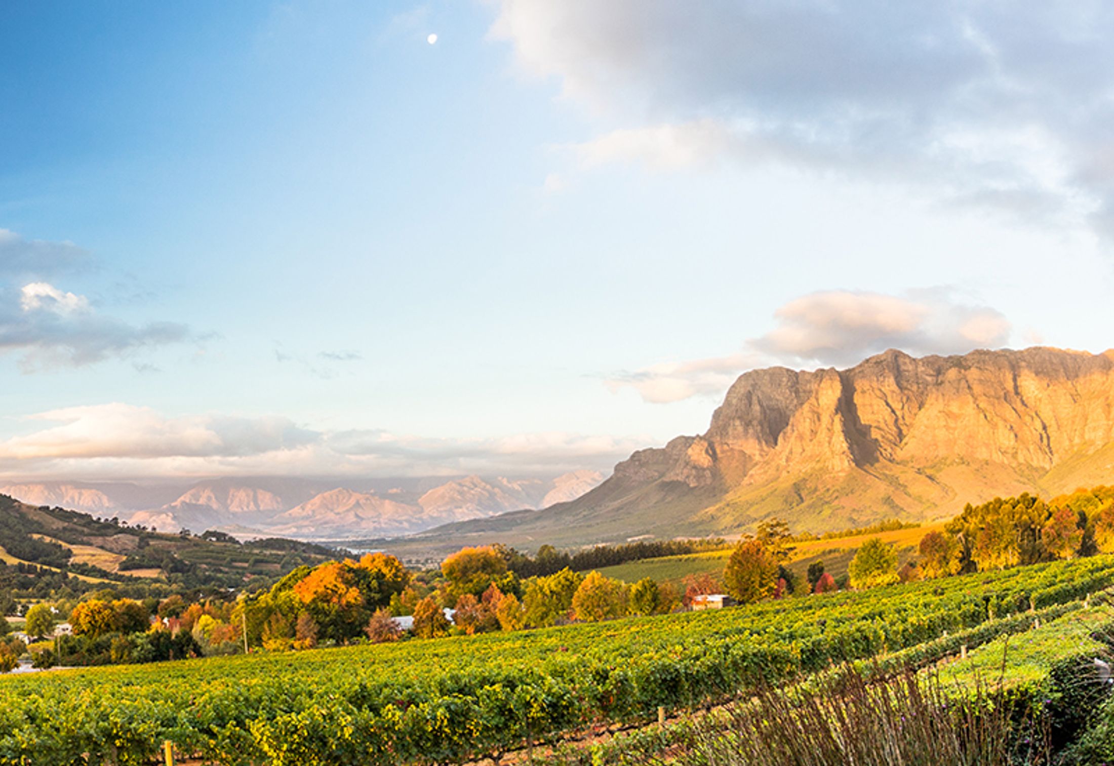 Cape Winelands: A vacation destination not to be missed.