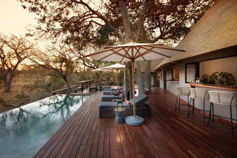 Top 5 Thornybush Lodges 2026 - Exclusive Offers