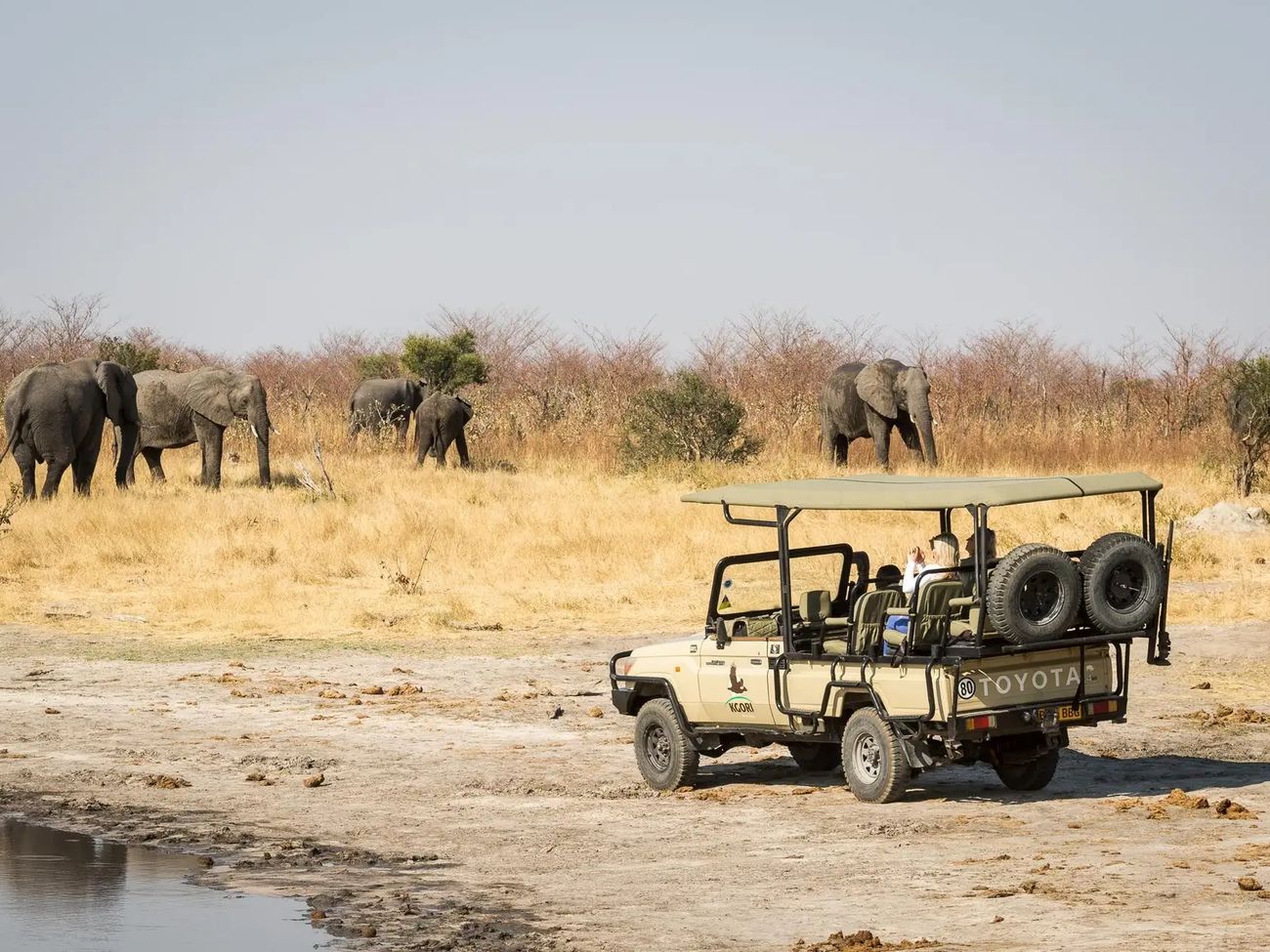 9-Day Luxury Botswana Wetlands to Wilderness Safari
