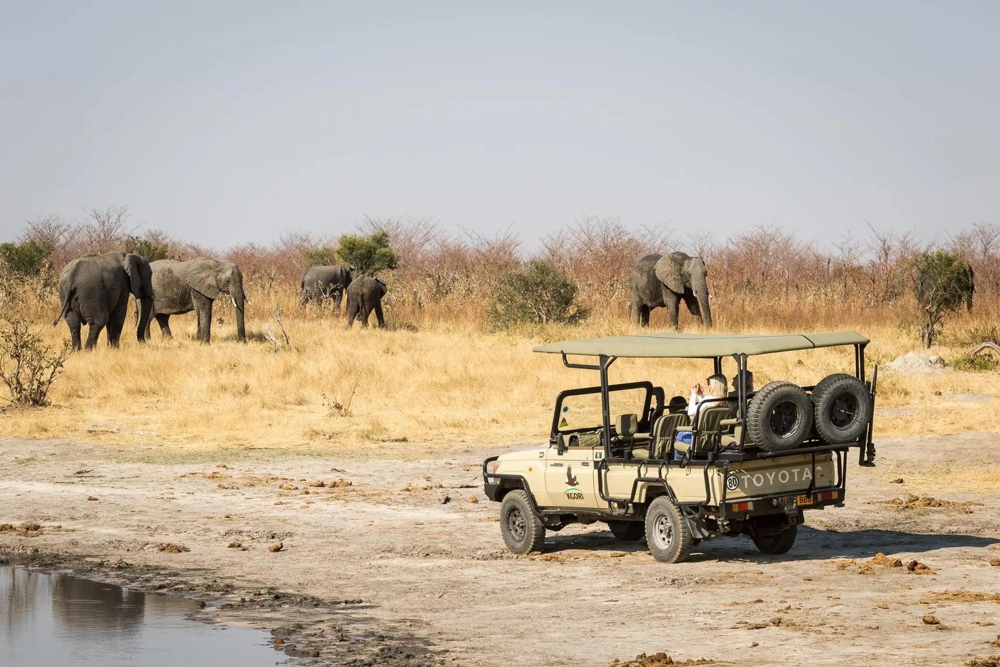 9-Day Luxury Botswana Wetlands to Wilderness Safari