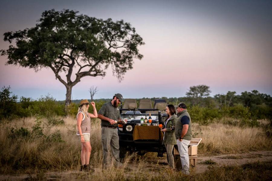 3-Day Big-5 Luxury Sabi Sand Fly-in Package