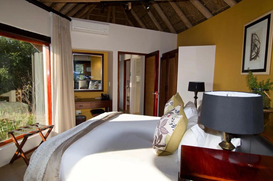 6-Day Cape Town to Port Elizabeth Winter Fly-in Package