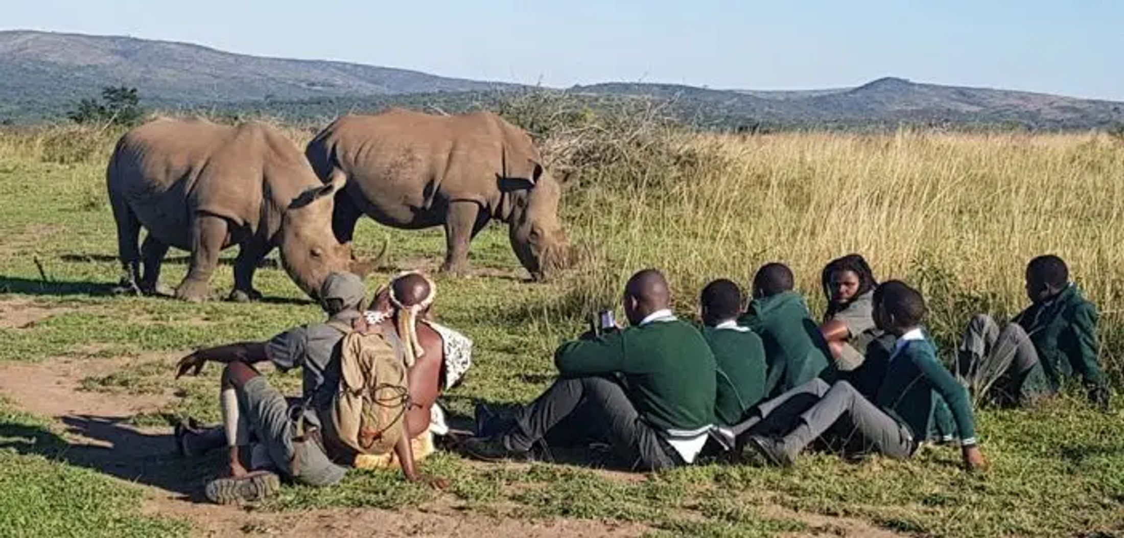 Decade of Rhino Poaching