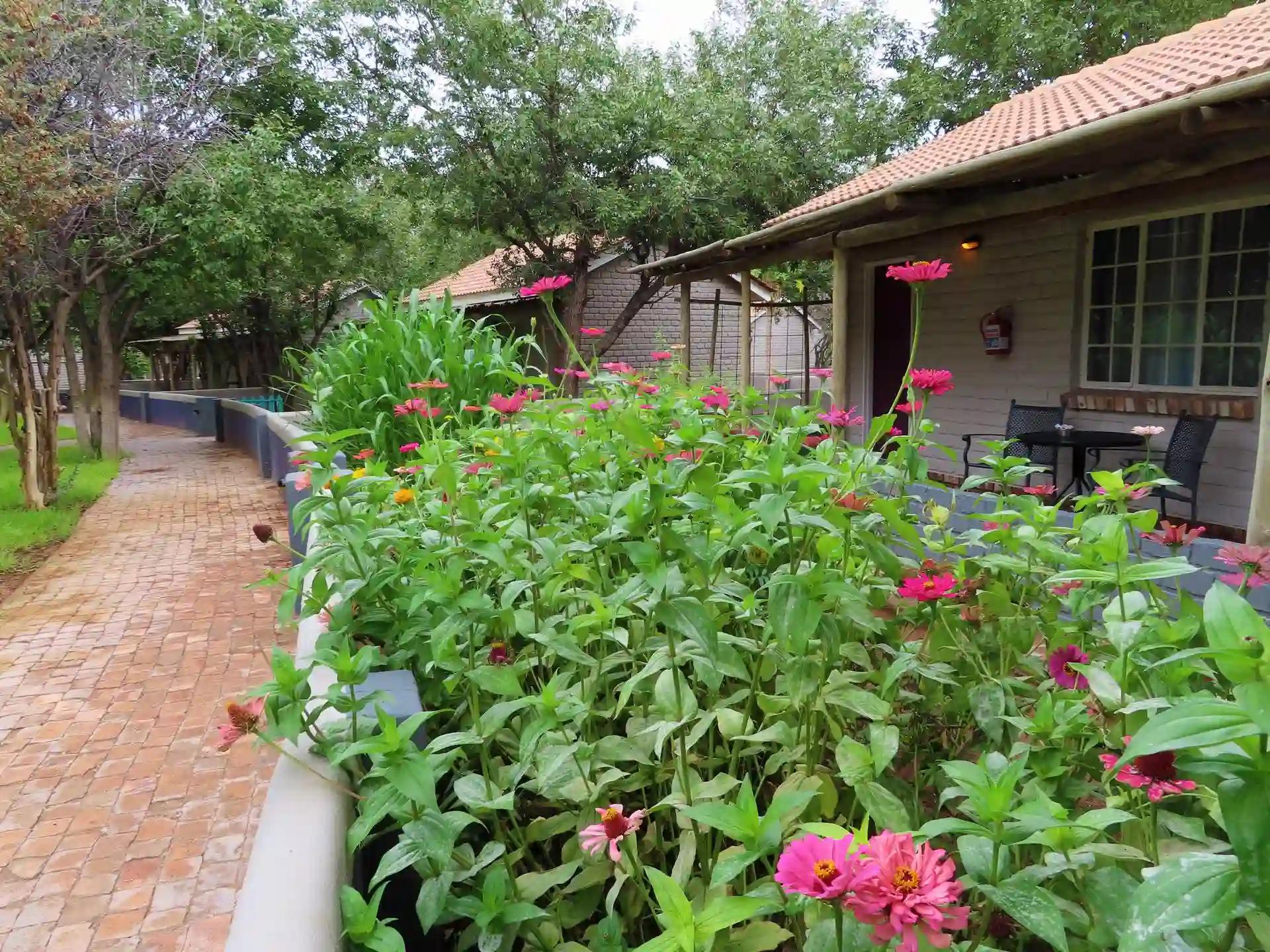 Damara Mopane Lodge