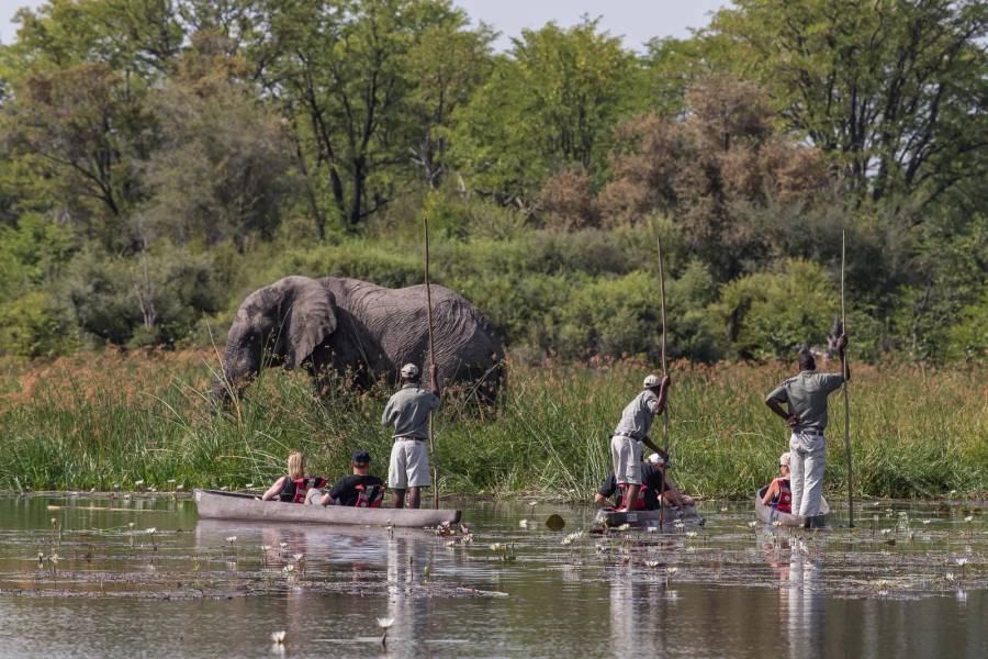 Chobe National Park