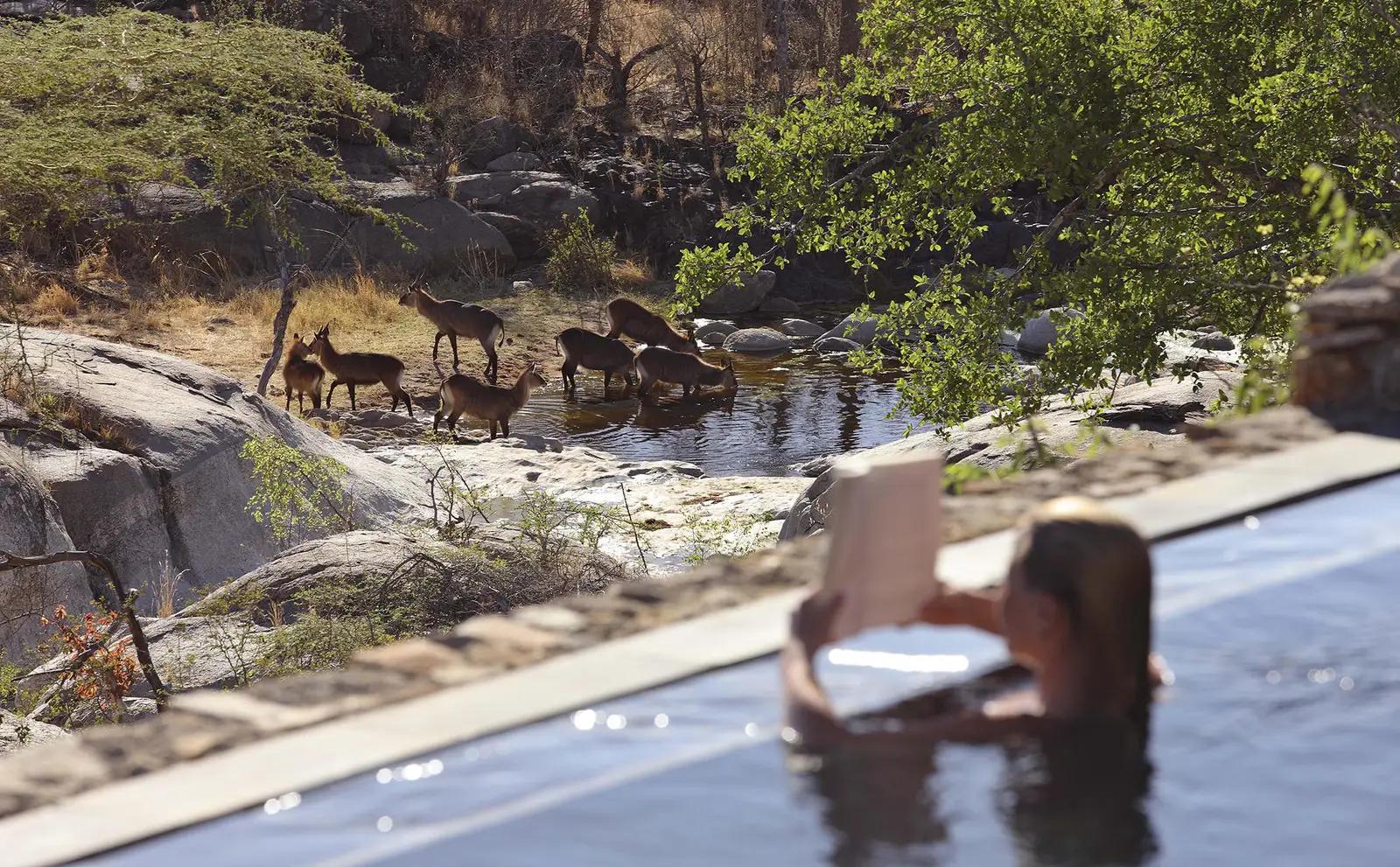 Mwiba Lodge