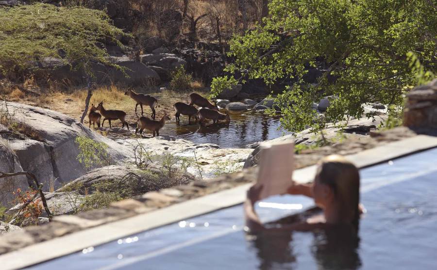 Mwiba Lodge