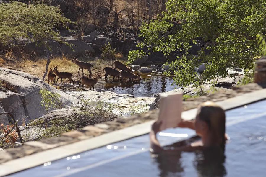 Mwiba Lodge