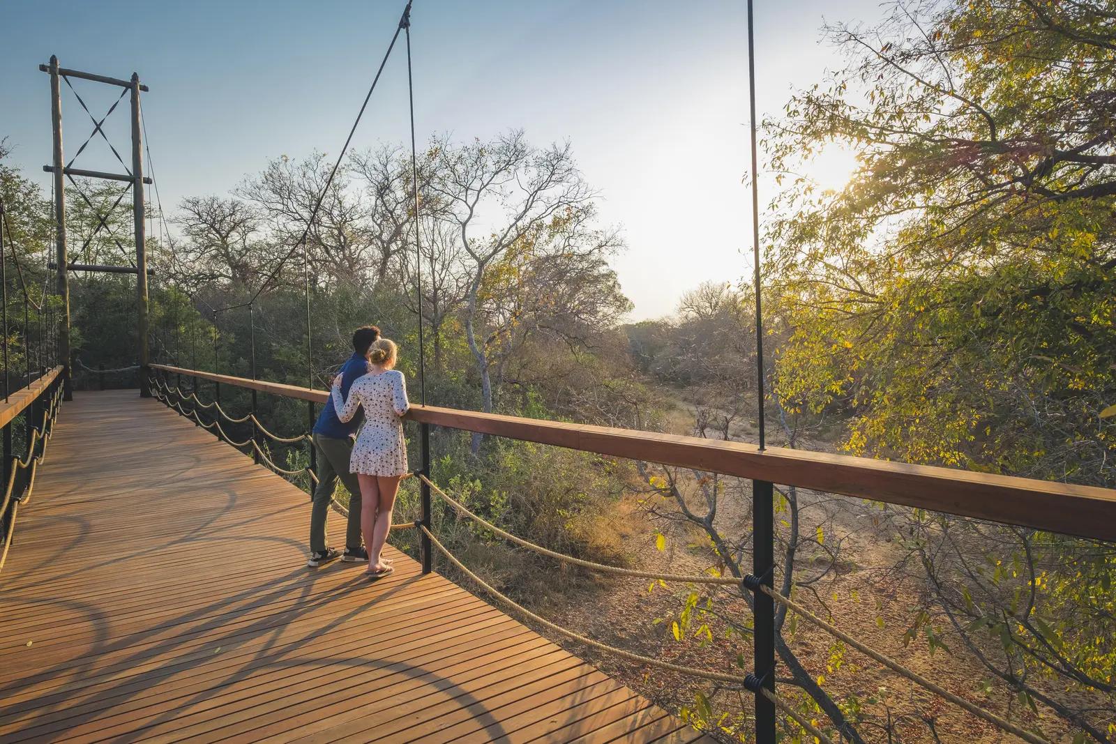 Jabulani Safari