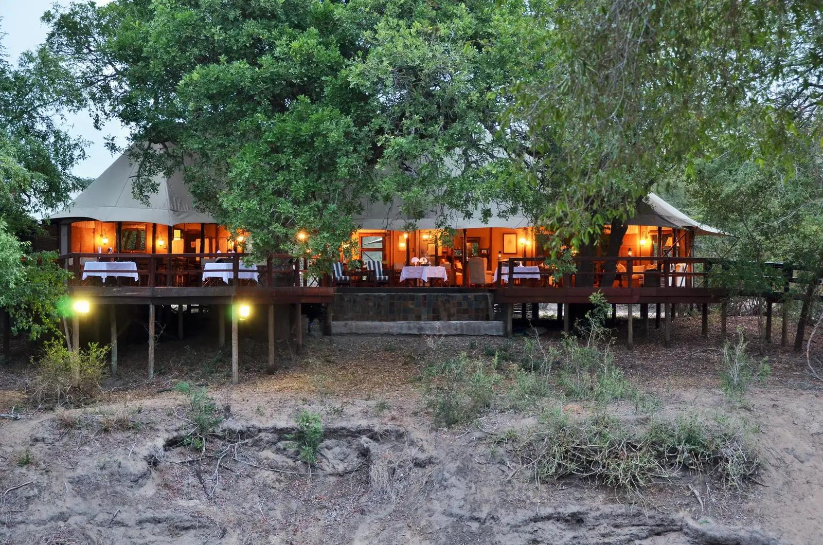 3-Day Luxury Fly-in Safari with Hamiltons Tented Camp