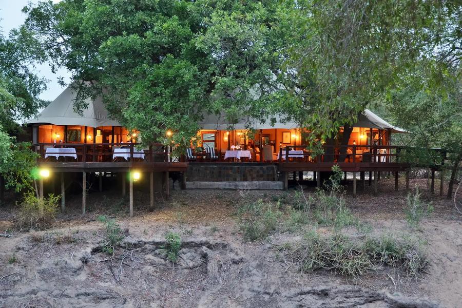 3-Day Luxury Fly-in Safari with Hamiltons Tented Camp