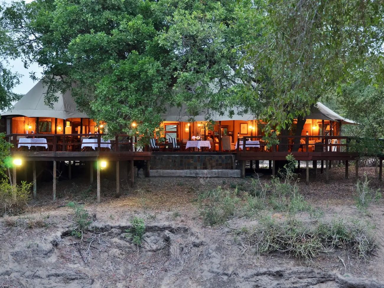 3-Day Luxury Fly-in Safari with Hamiltons Tented Camp