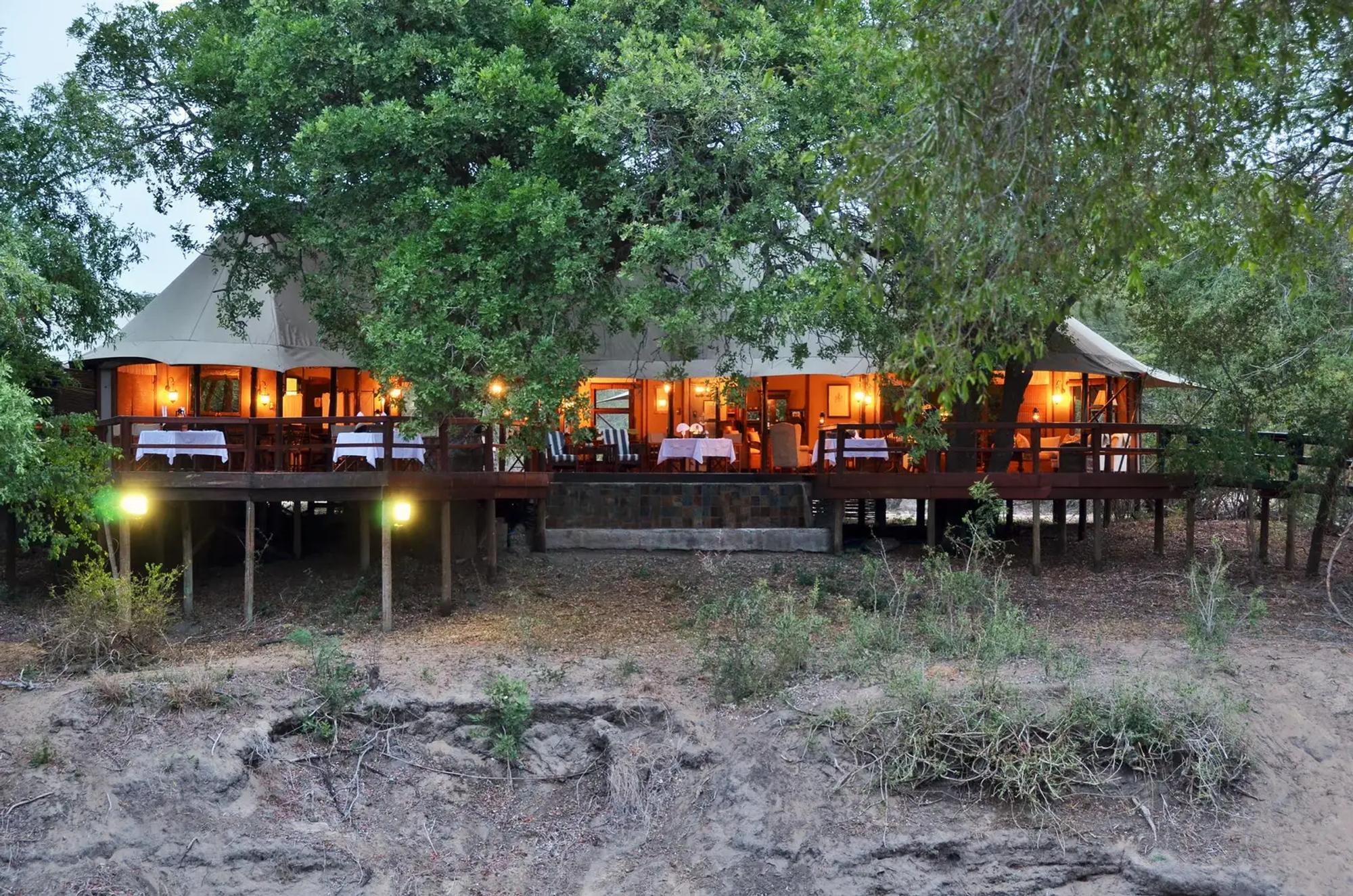3-Day Luxury Fly-in Safari with Hamiltons Tented Camp