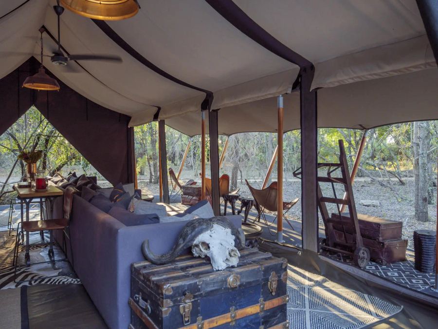 6-Day Luxury Big 5 Kruger to Sabi Sands Safari Adventure