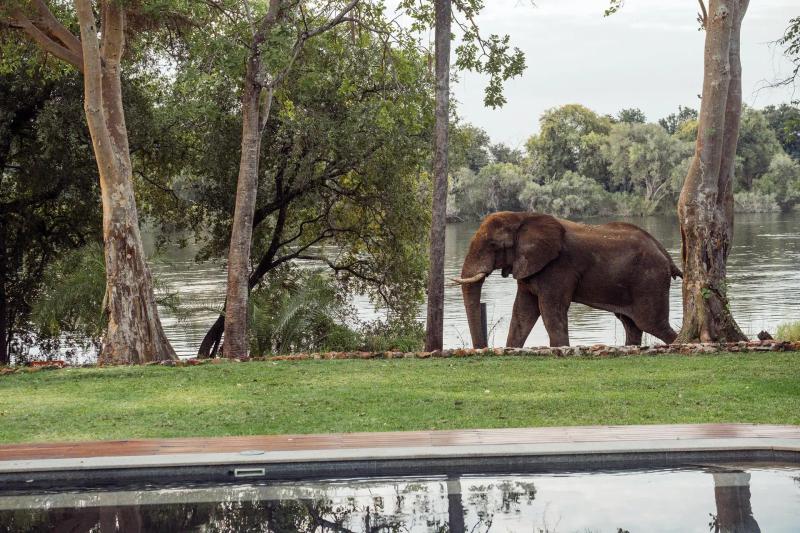 7-Day Ultra-Lux Kruger and Vic Falls Fly-in Safari