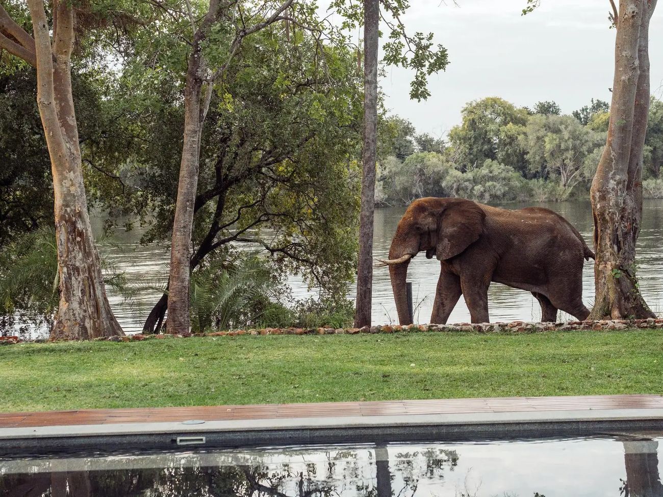 7-Day Ultra-Lux Kruger and Vic Falls Fly-in Safari