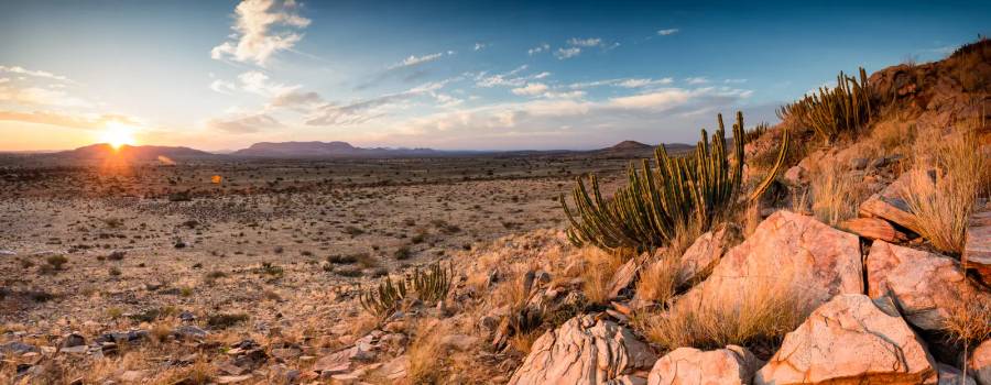 Kalahari Desert 