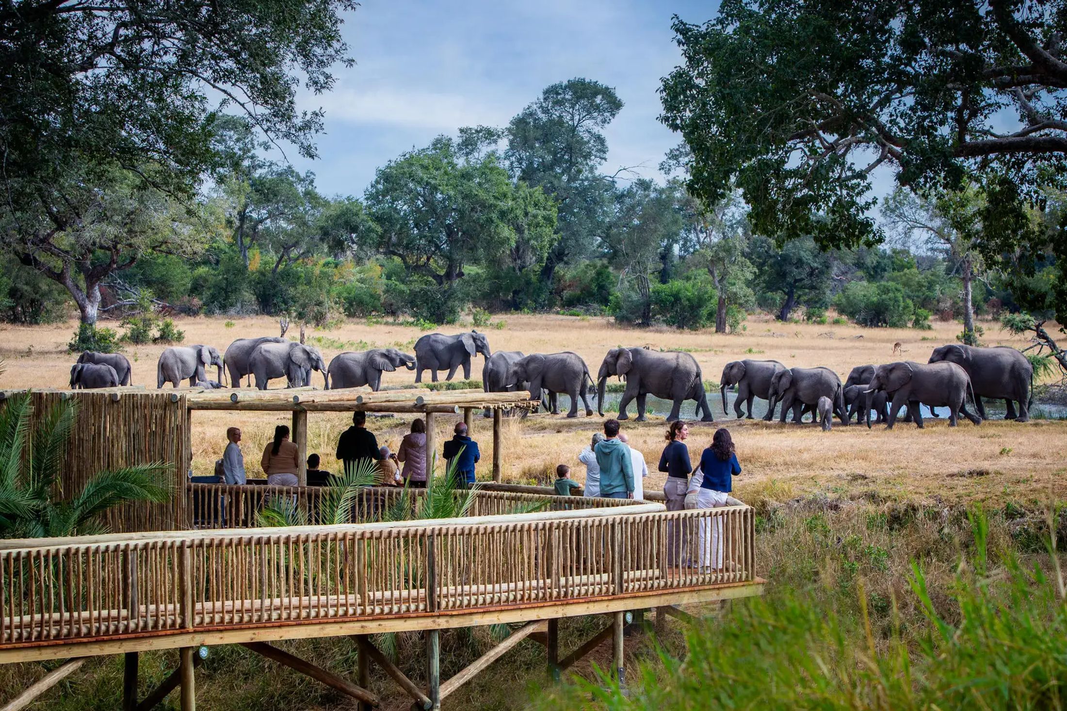 Top 5 Must-See BIG Five and Beach Safaris in Africa