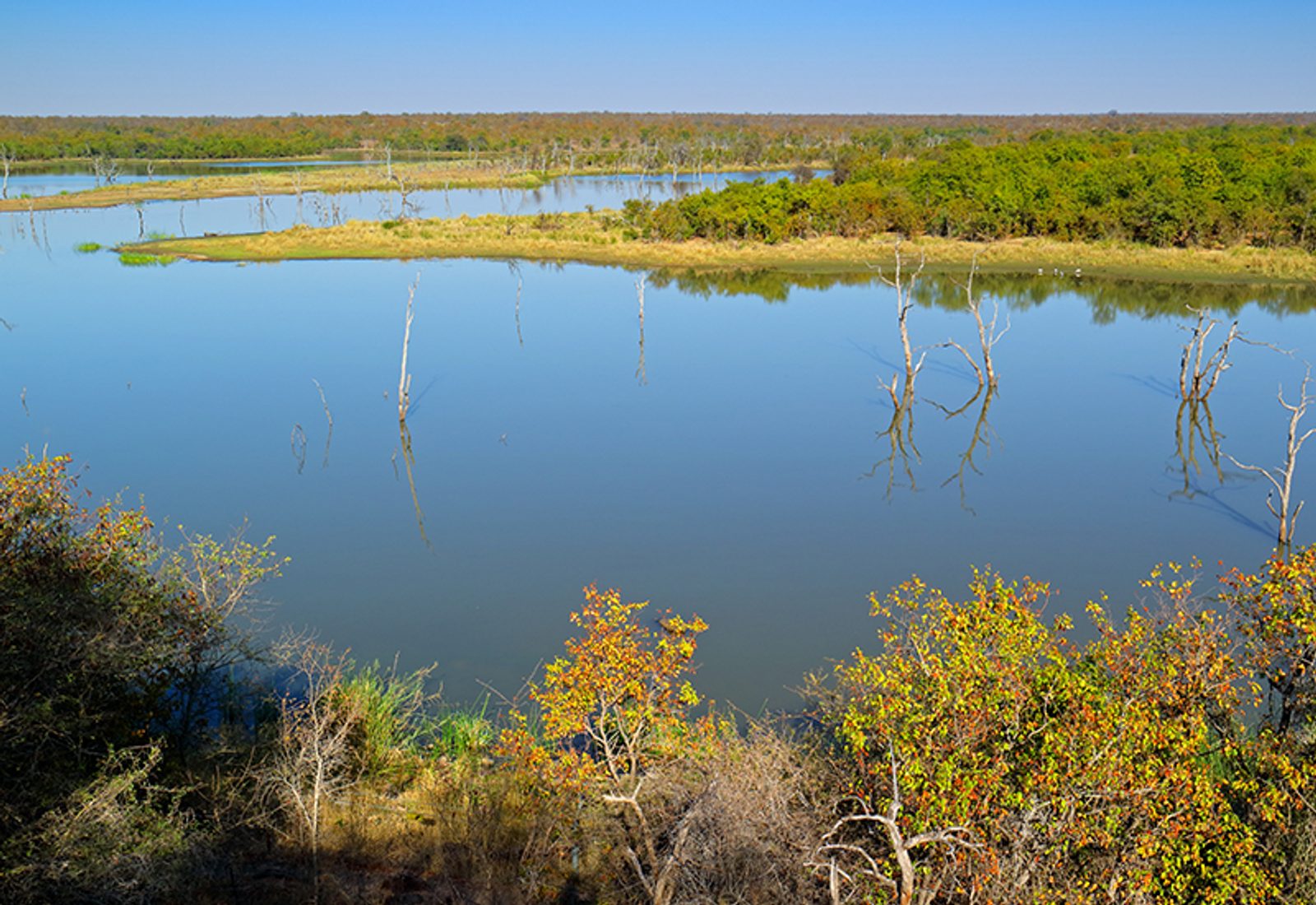 Pioneer Dam at Mopani Rest Camp