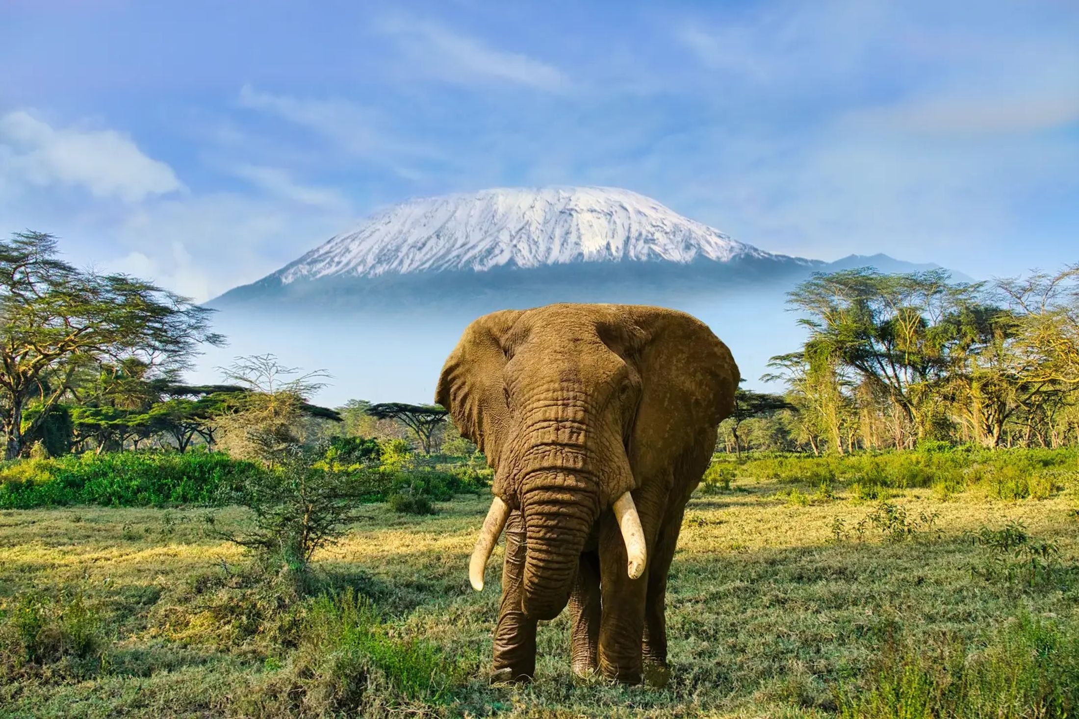 20 Reasons to Never Visit Africa—If You Dislike Perfection