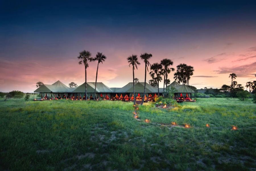 8-Day Fly-In Ultra-Lux Botswana Safari