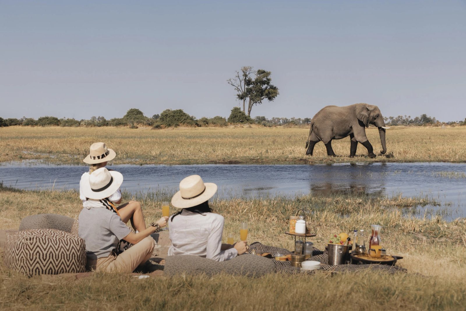 Three guests in sun hats sit with drinks at a bush picnic beside a channel as an elephant walks the far bank in the Okavango Delta